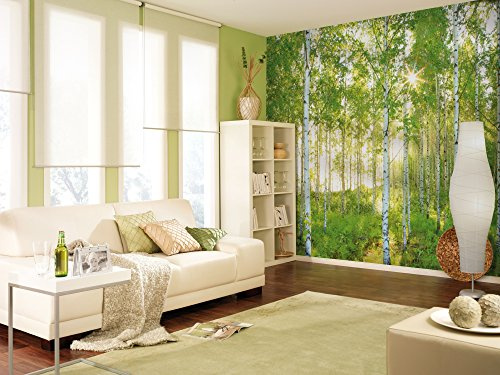 Komar 8-519 368 x 254 cm National Geographic Sunday Spring Birch Tree Forest Wallpaper Mural - Green (Pack of 8)