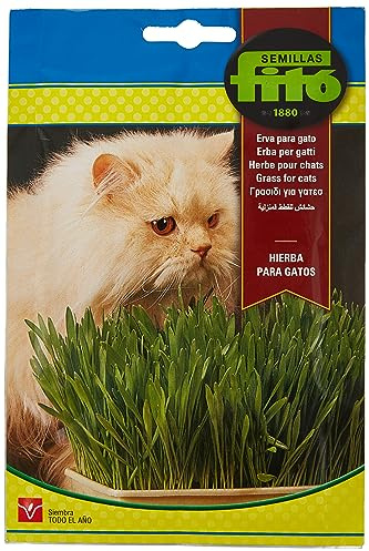 Eurogarden - Semillas de Hierba para Gatos, Planta aromática, 15 g - 4262