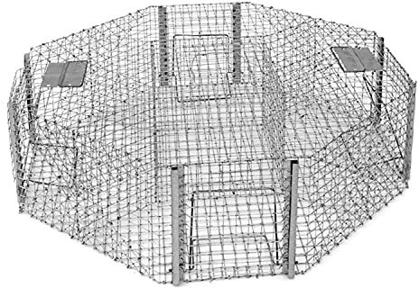 Animales Humane Trampa Jaula Captura Ratones Ratas Conejos Topos Zorros Martas Nutrias Castores Tejones Mapaches Perros Gatos Urracas Palomas Petigi, Dimensiones/Modelo: (102 x 102 x 30 cm)