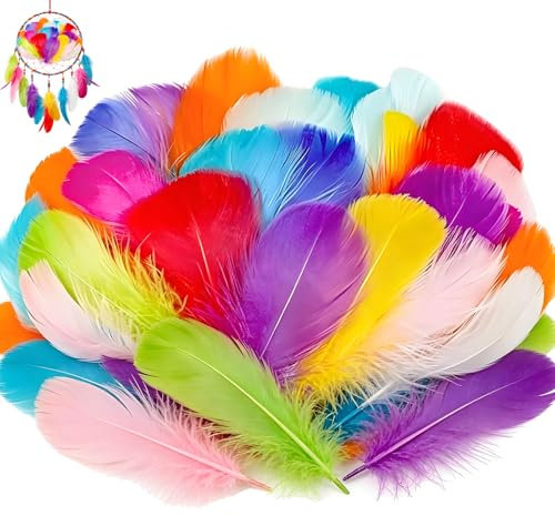 400 Pcs Coloured Feathers, Mixed Coloured Craft Feathers, Natural Goose Feather for DIY Wedding, Home, Party Decorations,DIY Dream Catchers.
