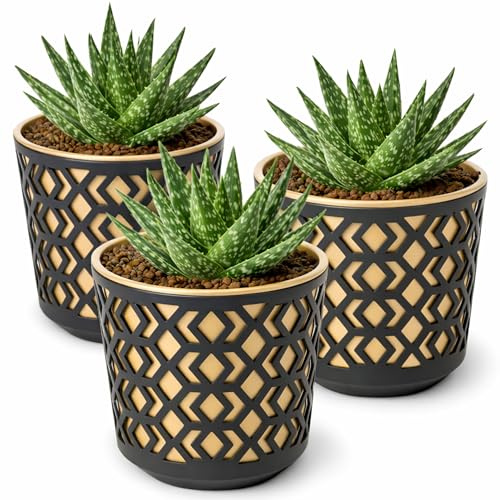 PECZEKO Vasi da fiori opachi Vasi decorativi per fiori ed erbe aromatiche Vasi per piante rotondi in plastica resistenti e leggeri per soggiorno e sala da pranzo, cucina, balcone Set di 3 (Nero/Oro,