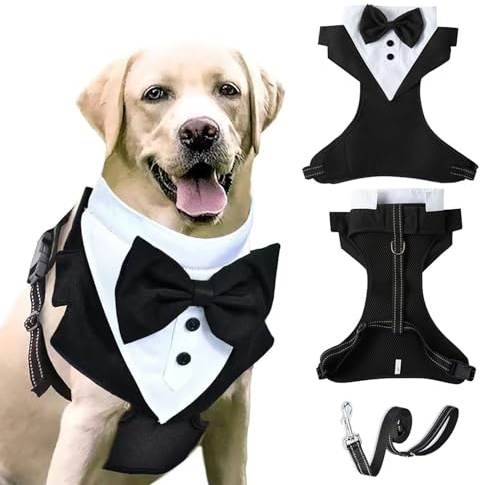 BT Bear Harnais de smoking pour chien avec laisse, harnais formel avec nœud papillon pour mariage, gilet de smoking en maille respirante pour chiens de petite et moyenne taille, taille L