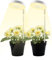 Grow Lights for Indoor Plants,48 LEDs Full Spectrum LED Growing Light Lamp Plant Light Growth Lamps with Base Height Adjustable Brightness with Auto On/Off Timer 3/9/12h for Small Plant