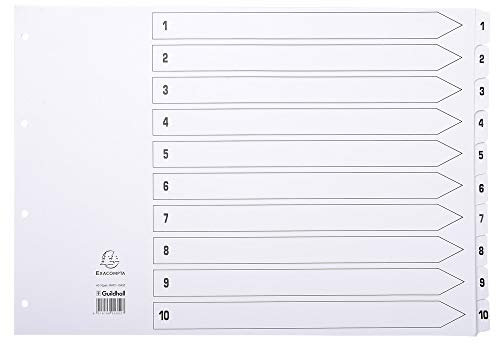 Exacompta MWD1-10A3Z Karton-Register 1-10 für DIN A3 aus Karton 10-teilig volle Höhe 43 x 29,7 cm weiß, verstärkte Taben mit Indexseite Trennblätter Trennstreifen Ordner-Register