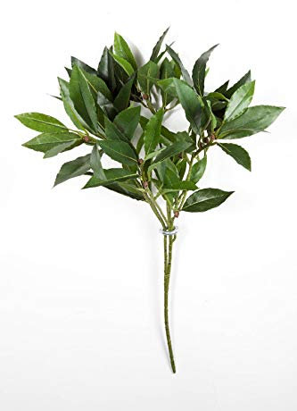 artplants.de Artificial cherry laurel spray KAMIRAN with 70 leaves, green, hardly inflammable, 18/45cm - Artificial branch/Plastic leaves