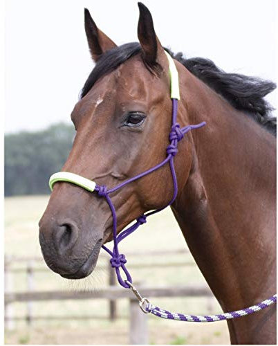 Knotenhalfter-Set TWO-TONE