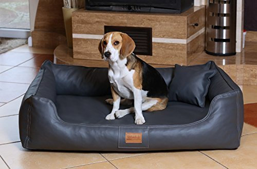tierlando® Hundebett Maddox Komfort aus Kunstleder mit herausnehmbarer Matratze, Elegantes Hundesofa in Premium-Qualität für höchsten Schlafkomfort Größe: 100x75cm | Farbe: 02 Graphit
