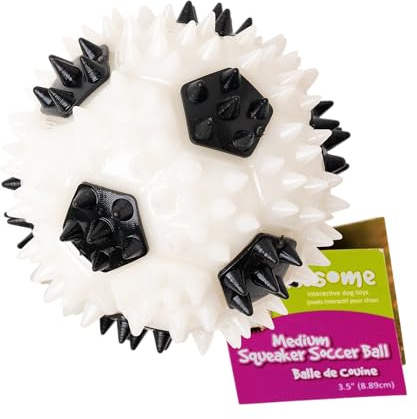 Gnawsome 3.5ā Squeaker Soccer Ball Dog Toy - Medium, Promotes Dental and Gum Health for Your Pet, Colors Will Vary, All Breed Sizes