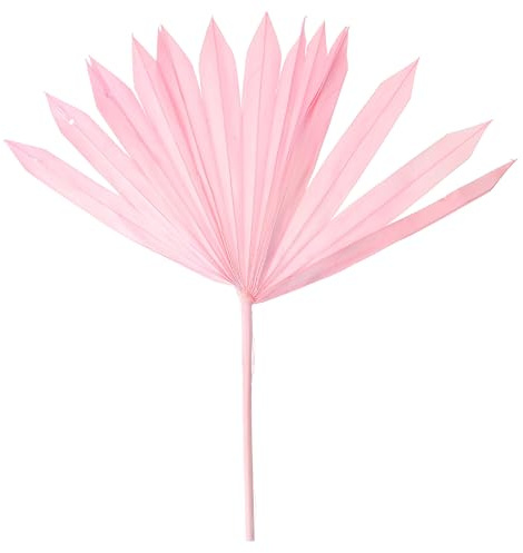 Zerodeko Materiale per Composizioni Floreali Foglie di Palma Secche Rosa Decorazioni per Matrimoni e Festa Ornamenti Artistici da Parete per Arredamento Casa Naturale