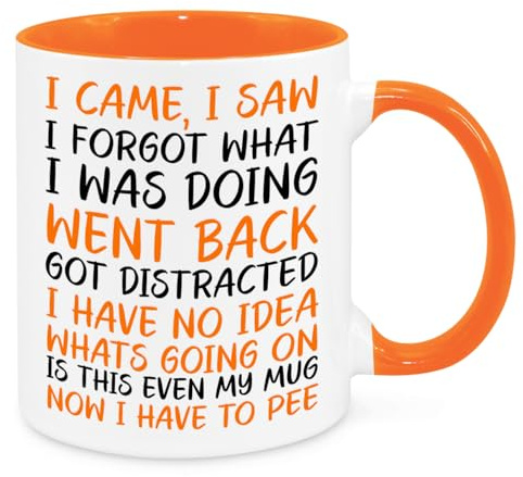 I Came I Saw I Forgot Mug - Funny Novelty Gift Silly Present Mugs for Women Birthday Christmas for Mum Dad Friend Sister for Men Colleague Secret Santa Work Quotes (Orange)