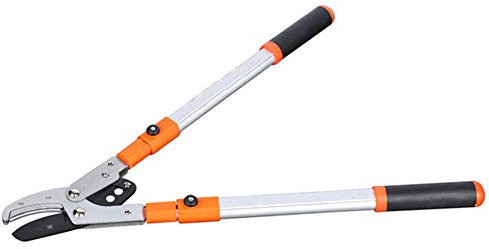 Cesoie di Potatura Telescopiche ad Azione Composta, Cesoie da Potatura Bypass, Taglio Facile, Attrezzi da Giardino