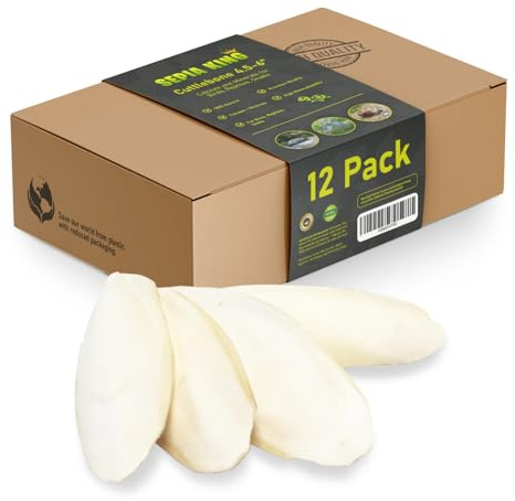 Sepia King - Medium - 100% Natural Calcium Supplement - Premium Cuttlebone Perfect for Birds, Tortoises, Snails, Reptiles - 12 Pack