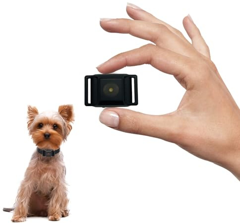 Le Plus Petit Collier Anti-aboiement pour Les Petits Chiens de 5-15lbs, Seulement 4 * 2.5cm & 12 grammes, sans Choc avec Vibration et Son, Extra Petit et Rechargeable, 5 Niveaux de sensibilité