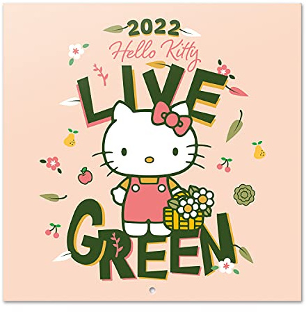 Grupo Erik Calendario Hello Kitty 2022 incluye póster - Calendario 2022 pared - Calendario 12 meses - Calendario annual - Calendario mensual - Producto con licencia oficial, Rosa-Verde (CP22053)