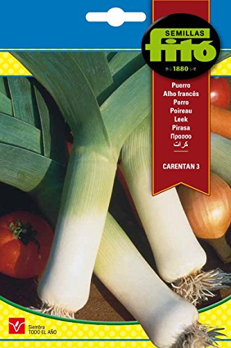 Semillas Fitó Poireau Carentan 3