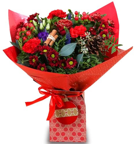All Occasions Christmas Flower Bouquet, Red & Purple Fresh Flowers, Perfect for Birthdays, Anniversaries & Christmas Gifts