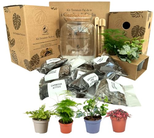 I GIARDINI DI GIULIA - Kit Terrarium Fai-da-Te 'I Giardini di Giulia' completo, Ecosistema Autosufficiente, Piante Incluse, Design Biologico, Kit terrario con vaso in vetro e tappo in sughero