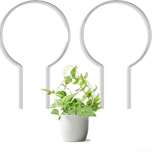 Hoya Pothos Lot de 2 cadres d'escalade en acrylique pour intérieur et extérieur Transparent