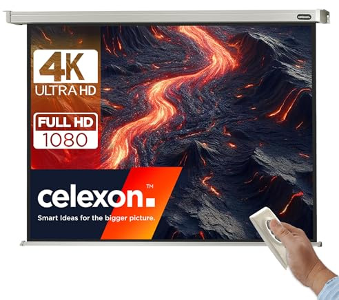 celexon Pantalla motorizada Incluido Mando a Distancia para Escuela, proyección, presentación y Cine en casa Profesional - 280 x 210 cm - 4:3