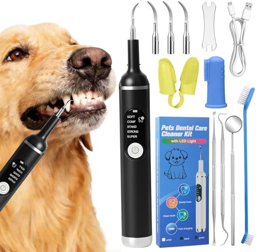 11-in-1 Kit Pulizia Denti Cane, 5 Modalità Rimozione Elettrico Della Placca Dentale, Spazzolino Ultrasuoni con Luce LED, USB Ricaricabile Spazzolino, Pulisci Togli Tartaro e Macchie per Cani e Gatti