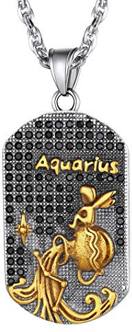 Richsteel Kettenanhänger Herren Damen Sternbild Sternzeichen Wassermann Anhänger Dog Tag Halskette für Freunden Freundin