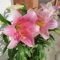Giglio bulbi/giglio bulbi asiatico/Bulbi di giglio rosa-Pianta perenne resistente al freddo，Terrazza, balcone, giardino -D-4 bulbi