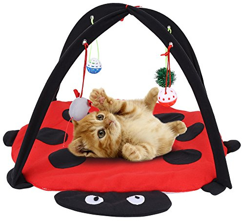 GOTOTOP Tenda da Gioco per Gatto in Cotone, Tappeto di attività Mobile da Letto con Il Giocattolo e Letto Imbottito per Animali Domestici