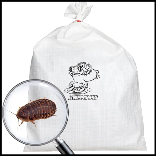 Livefoods4u Live Dubia Roaches Medium (15-20mm) 100 Count Bulk Bag | High Protein Feeder Cockroach for Bearded Dragons, Leopard Geckos & Large Reptiles | Sustainably Bred Livefood