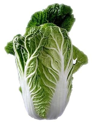 Graines Chou de Chine Pe Tsai - Sachet de 1 gramme (environ 250 graines) - Graines de style