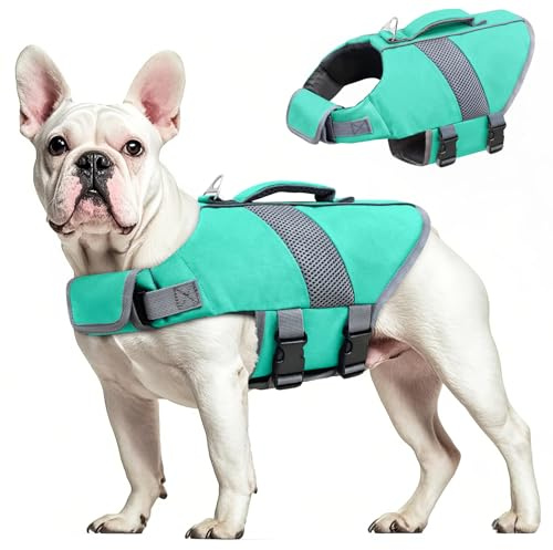 Oslueidy Chaleco Salvavidas para Perros Chaleco Salvavidas para Tiburones de Alta Flotabilidad Chaleco Salvavidas para Perros Chaleco Seguridad Bote Natación Kayak Surf Bañador (Hellblau, XS)