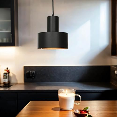 Licht-Erlebnisse Hängeleuchte rund Metall schwarz Ø15cm Esstisch Küche Industrie-Stil E27 Pendellampe Decke Esszimmer Wohnzimmer
