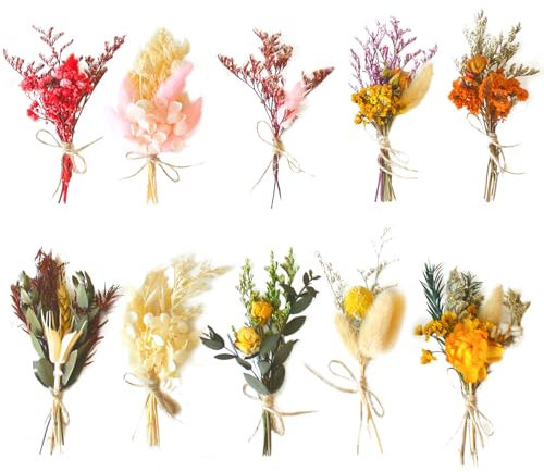 Lithyc 10Bündel Getrocknete Blumen Deko - Mini Trockenblumen Zum Basteln - Trockenblumen Kleine SträUßE - Geeignet FüR Vasen, Kunsthandwerk, Korsagen, Hochzeiten, DIY Foto Requisiten Dekoration, Etc