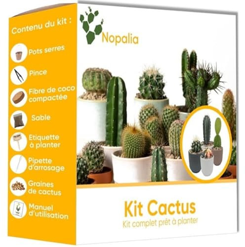NOPALIA® Kit Cactus Prémium - Mini Kit à Faire Pousser - Mini Cactus - Idée Cadeau Noel - Plante Interieur - Kit Plante Prêt à Pousser - Jardin Intérieur - cadeau de noel original - Plantes Grasses