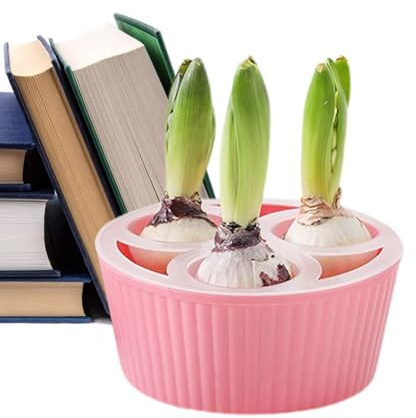 Générique Planteur d'Intérieur - Conteneur De Culture De Jacinthe À 3 Trous - Pot À Planter Narcisses | pour Jardiniers Appartement Débutants Intérieur Rebord De Fenêtre Cuisine Salon Chambre