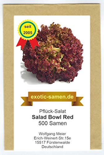 Pflück-Salat - Salad Bowl Red (500 Samen)