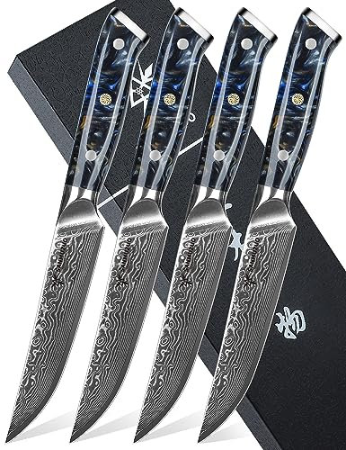 SANMUZUO Steakmesser Set, 4-teilig Damastmesser 13 cm Klinge - Steakbesteck Messerset - VG 10 Damaskus Stahl Küchenmesser mit Harzgriff - Xuan Serie(Sternenschwarz)