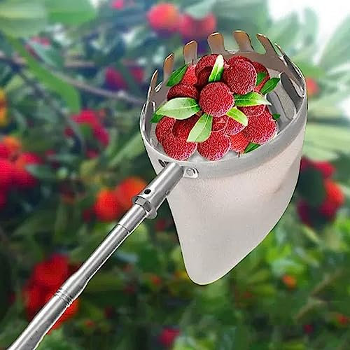 LekLai Obstpflücker, Apfelpflücker, Obsternte, Obstsammler Mit Fußausziehbarer Teleskopstange Und Rutschfestem Griff, Praktischer Erntehelfer Für Die Ernte Von Birnen, Zitronen Und Orangen/6M/19.7Ft
