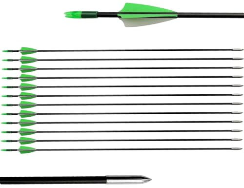 biubiusot 12er Pfeile für Bogenschießen 31 Zoll Bogenpfeile Jagdpfeile Pfeile Übungspfeile Fiberglaspfeile für Anfänger Pfeil und Bogen Zielübung (grün)