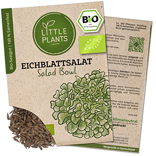 Litte Plants BIO Eichblattsalat Samen, 120 Salatsamen, hohe Keimrate, 100% Natürlich, BIO Samen Eichblattsalat Salad Bowl für Gemüsegarten, Gemüsebeet, Hochbeet – BIO Gemüsesamen Saatgut Nachhaltig