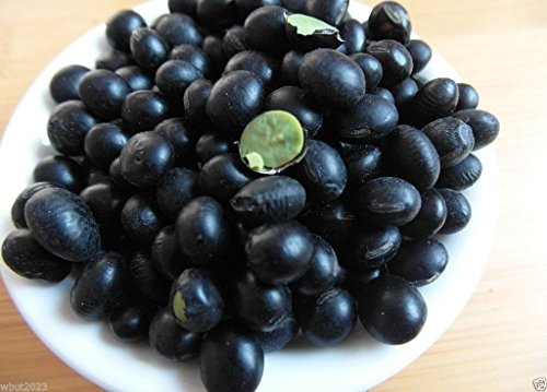 100 Soybean Seeds - Korean Black - Edible soybean,Organic NON-GMO untreated Seed