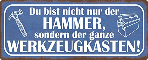Blechschild 27x10cm gewölbt Du bist nicht nur der Hammer Sprüche Deko Geschenk Schild