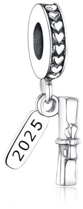 Feitery 2024 Diplôme Charms Coeur Compatible avec les Bracelets et Colliers Pandora et Perles pour Femme Charm Souvenirs de la Remise des Diplômes
