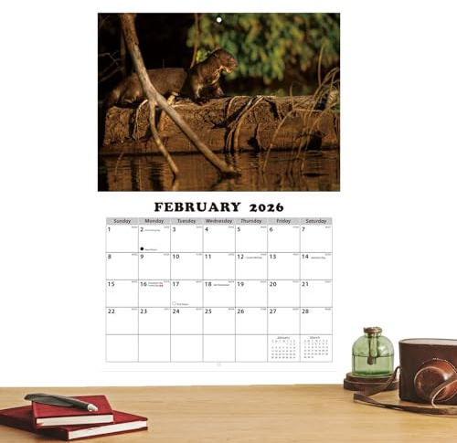2026 Väggkalender – engelsk schemaplanerare, väggmonterad organisatör, 12 månaders kalenderlayout, klassrum hemplanerare, matsalsdekor, vardagsrumstillbehör för klassrum