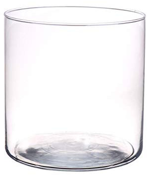 innaGLAS Vase Cylindre Sanny en Verre, Transparent, 19cm, Ø19cm - Vase à Fleurs/Photophore