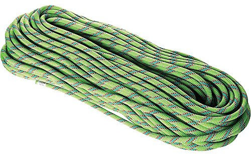 Beal Einfach-Kletterseil, Tiger, Unisex, Unicore, mit Einer Länge von 60M, in der Farbe Grün, BC100T.60.G