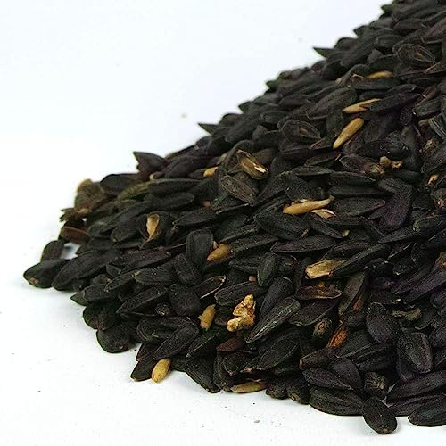 Semi di girasole nero GardenersDream - Alimento ricco di olio per uccelli selvatici del giardino (2.5kg)