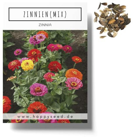 Zinnien Samen Mix (Zinnia) - Farbenprächtige Sommerblumen für das Beet, den Balkon, die Terrasse und als Schnittblume in Vasen