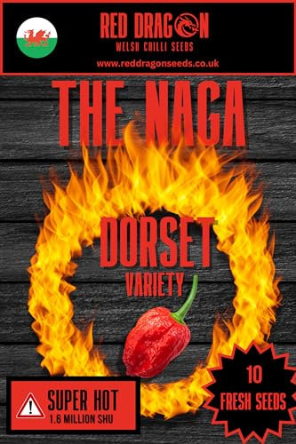 The Naga (Dorset Variety) Chilli Seeds - 10 Fresh The Naga (Dorset Variety) Pepper Seeds
