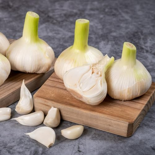 semillas de ajo orgánicas cobertura del suelo comprar de ajo de silvestres, raras, orgánicas, 400pcs