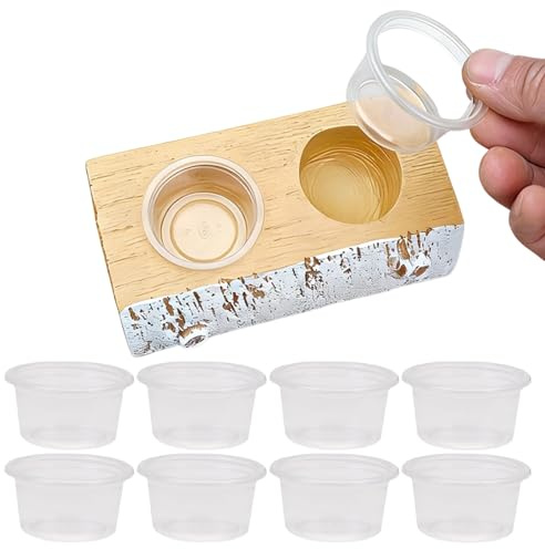 Barra Magnetica per rettili, 10 Ciotole, Magnetica, per mangimi per rettili e mangimi d'Acqua, per, lucertole, camaleonti, Tartarughe, Rane, granchi, Mille